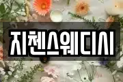 지첸스웨디시
