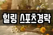 강원특별자치도 강릉시 주문진읍 마사지, 지압등 업체정보