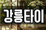 강릉타이
