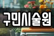 구민시술원