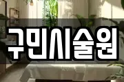 구민시술원