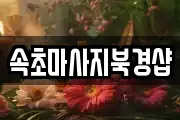 속초마사지북경샵