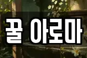 꿀 아로마