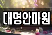 대명안마원