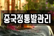 중국정통발관리
