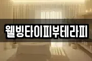 웰빙타이피부테라피