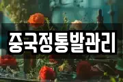 중국정통발관리