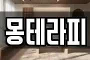 몽테라피