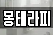 몽테라피