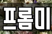 프롬미