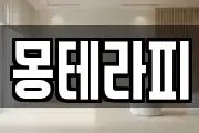 몽테라피