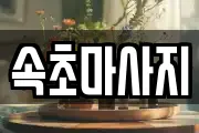 강원특별자치도 마사지, 지압등 업체정보