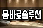 몸바로솔루션