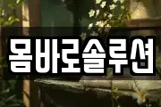 몸바로솔루션