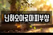 닌하오아로마피부샵