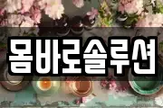 몸바로솔루션