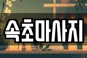 강원특별자치도 속초시 중앙동 마사지, 지압등 업체정보