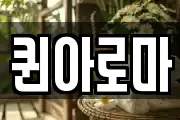퀸아로마