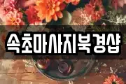 강원특별자치도 속초시 청호동 마사지, 지압등 업체정보