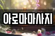강원특별자치도 양구군 양구읍 마사지, 지압등 업체정보