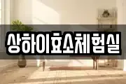 상하이효소체험실