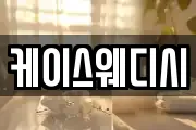 케이스웨디시