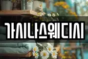 가시나스웨디시
