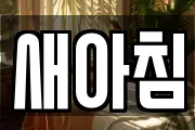 새아침