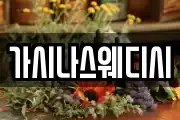 가시나스웨디시