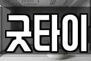 굿타이