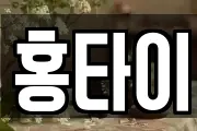 홍타이