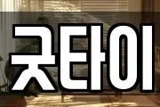 굿타이