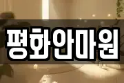 평화안마원