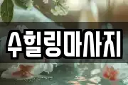 강원특별자치도 원주시 태장동 마사지, 지압등 업체정보