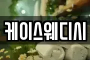 케이스웨디시