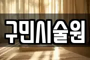 구민시술원