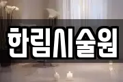 한림시술원