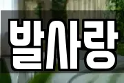 발사랑
