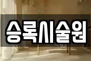 승록시술원