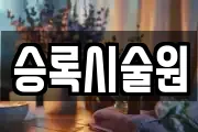 승록시술원