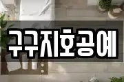 구구지호공예