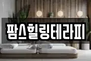팜스힐링테라피