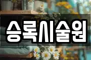 승록시술원