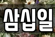 삼십일