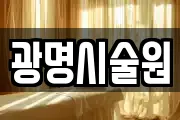 광명시술원