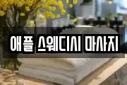 애플 스웨디시 마사지