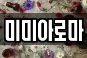 강원특별자치도 춘천시 우두동 마사지, 지압등 업체정보