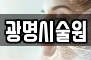 광명시술원