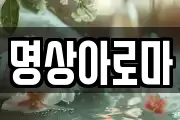명상아로마
