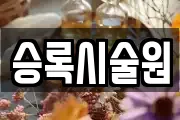 승록시술원